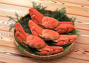 居酒家 土間土間 八重洲店 – 東京駅近くで楽しむ和の味わい