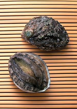 銀座で味わう絶品うなぎ！特別な日のためのおすすめ店舗ガイド