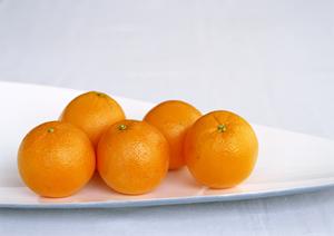 贅沢な味わいを手軽に！高品質なふぐ刺しを通販でお取り寄せ