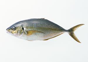 盛岡冷麺と韓国料理を極めた焼肉店「ぴょんぴょん舎 GINZA UNA」の魅力と詳細情報