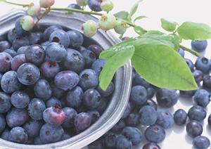 2025年最新版!高級弁当宅配サービスの選び方とおすすめランキング