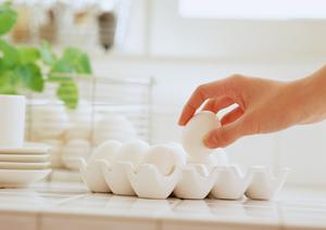 新宿で絶品の生牡蠣と多彩なイタリアンを楽しめる「Oyster Bar ジャックポット新宿」の魅力